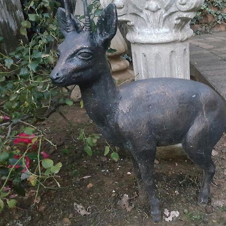 Gemsbok Cottage Bethlehem Dış mekan fotoğraf