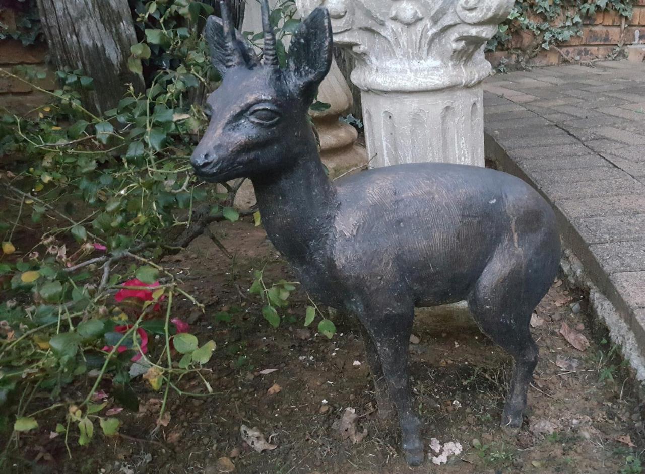 Gemsbok Cottage Bethlehem Dış mekan fotoğraf