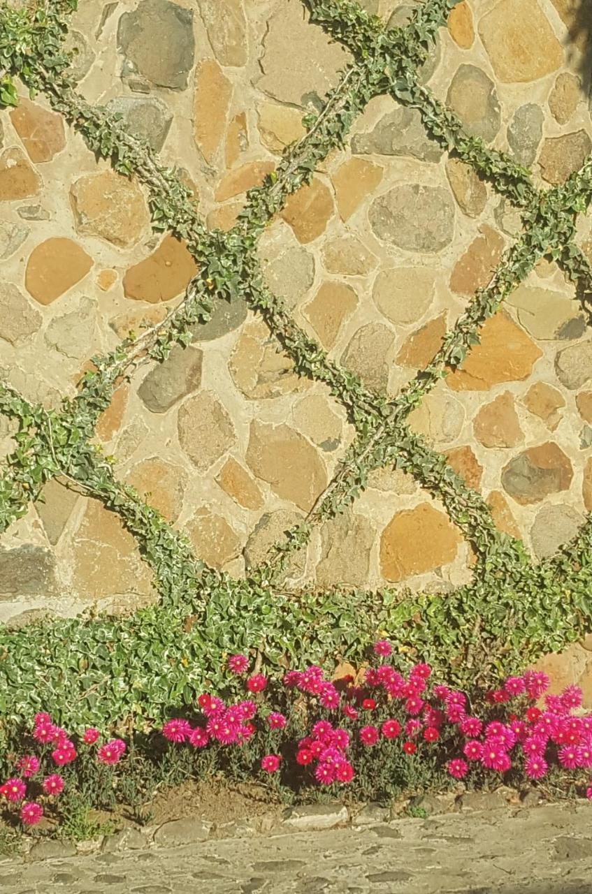 Gemsbok Cottage Bethlehem Dış mekan fotoğraf